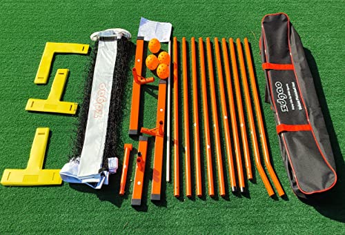 Image of Zdgao Portable Pickleball Net with Pickleballs and Carry Bag for Driveway