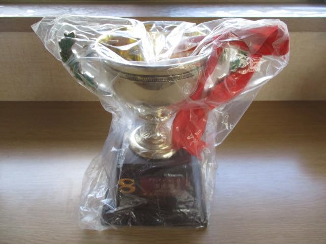 Amazon.co.jp: ゴルフ トロフィー グランドマンスリー杯 準優勝 