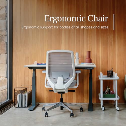 Image of Branch Ergonomic Chair, Versatile Desk Chair with Adjustable Lumbar Support | Breathable Mesh Backrest and Smooth Wheels, Experience Optimal Comfort and Support, All Black