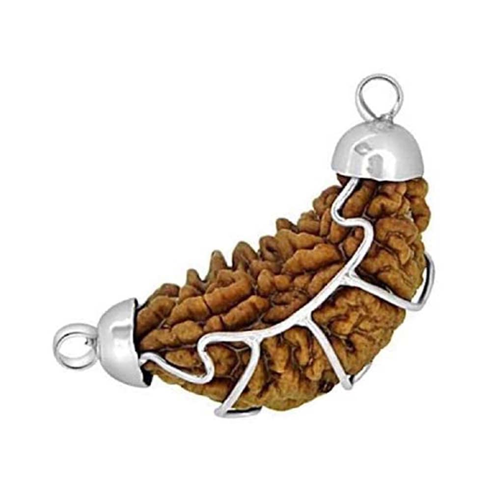 Rudraksha 1 Mukhi pendentif original Mantra Siddha collier face