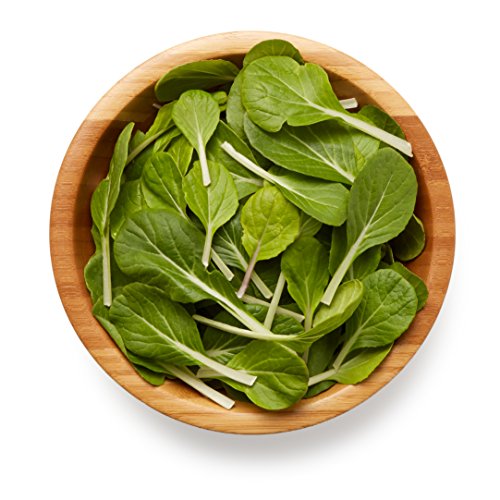 Organicgirl Organic Baby Bok Choy, 5 Oz #TOP2