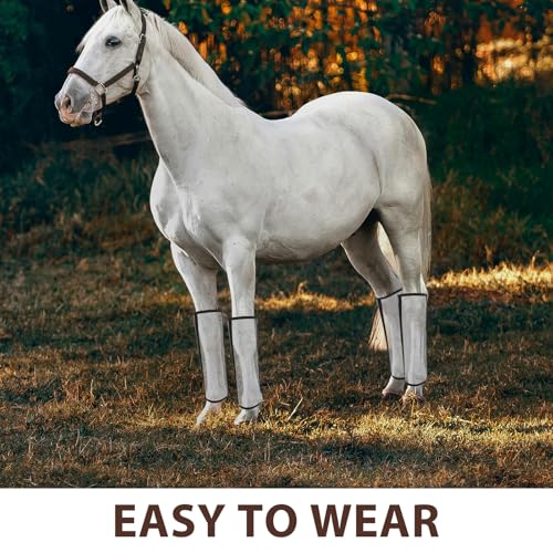 Botas antimoscas para caballos solución eficaz contra picaduras y pisotones en establos 4