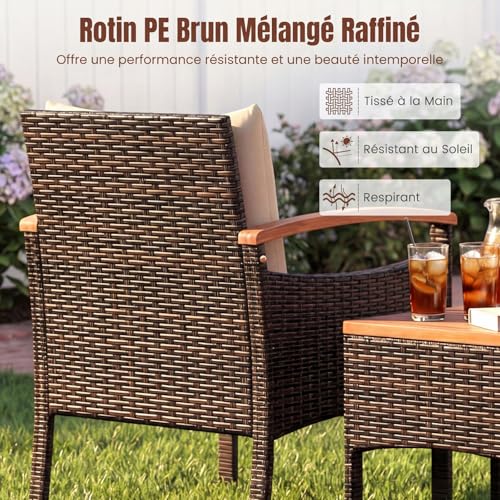 Ensemble jardin rotin PE 3 pcs acacia coussins TI92660FR COSTWAY
