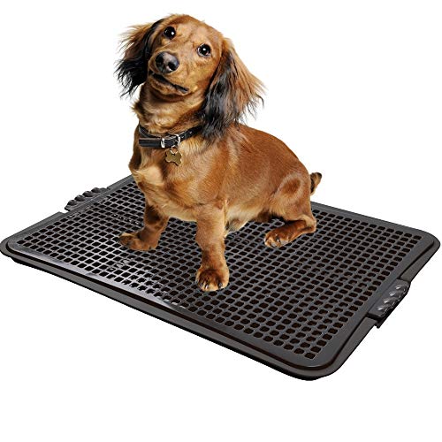 Sanitário Canino Xixi Dog Banheiro Pet Tapete Higiênico Cães Plast Pet Cor:Preto