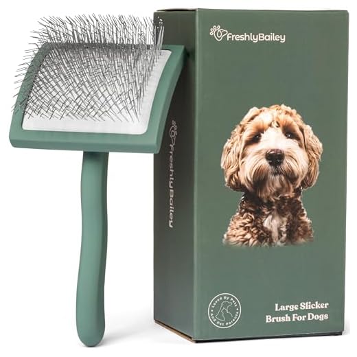 Freshly Bailey Doodle Brush for Goldendoodle, Poodle, and Labradoodle Coats - Best Slicker for Dogs With Wavy & Curly Hair - Detangle & Fluff Like a Pro - Grooming Must Haves (Large)