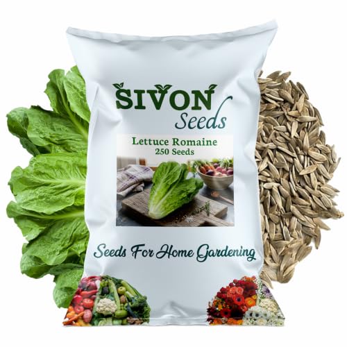 Image of SIVON Lettuce Romaine (250 Seeds) Exotic Vegetable Seeds for Home Garden, Organic & Hybrid, Perfect for Home Gardening, Planting For Pots and Patio