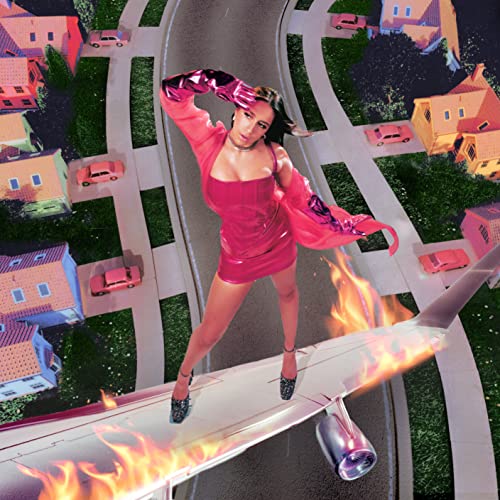 Amazon.com.br: I Used To Think I Could Fly
