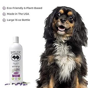 Plant Based 2 in 1 Dog Shampoo and Conditioner, Lavender, 16 fl oz – Grooming Essentials for A Quality Coat – No Parabens, No Phthalates, No Sulfates, No DEA & PEG, Safe & Vegan