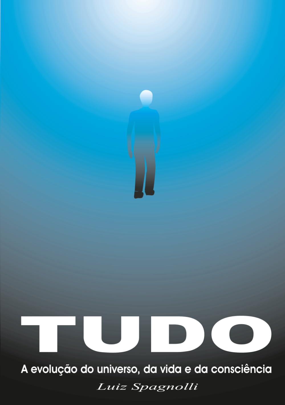 TUDO - A Evolução do Universo, da Vida e da Consciência: Volume 10 - Contemporâneo