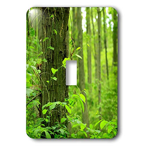 Interrupteur à baïonnette trees green forest leaves multicolore pour déco murale