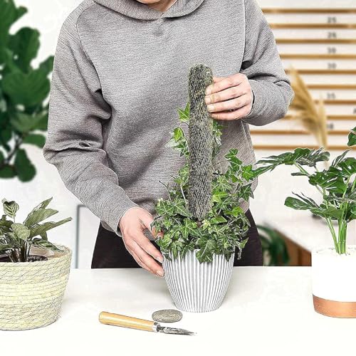 Image of IQNEX Plant Support Moss Stick- Green Grass Pole for Plants Support, Support Stick for Money Plant, Climbing Indoor Plants (Pack of 4, 1ft)