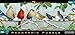 Buffalo Games 750 Piece Panoramic Jigsaw Puzzle: Winter Songbirds