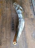  1 Hirschlocker, Rufhorn, ca. 1,8 Ltr, ca. 60 cm, poliert, Jagd-Hirsch, LARP- Mittelalter-Drinking Horn-Methorn, Germanenhorn