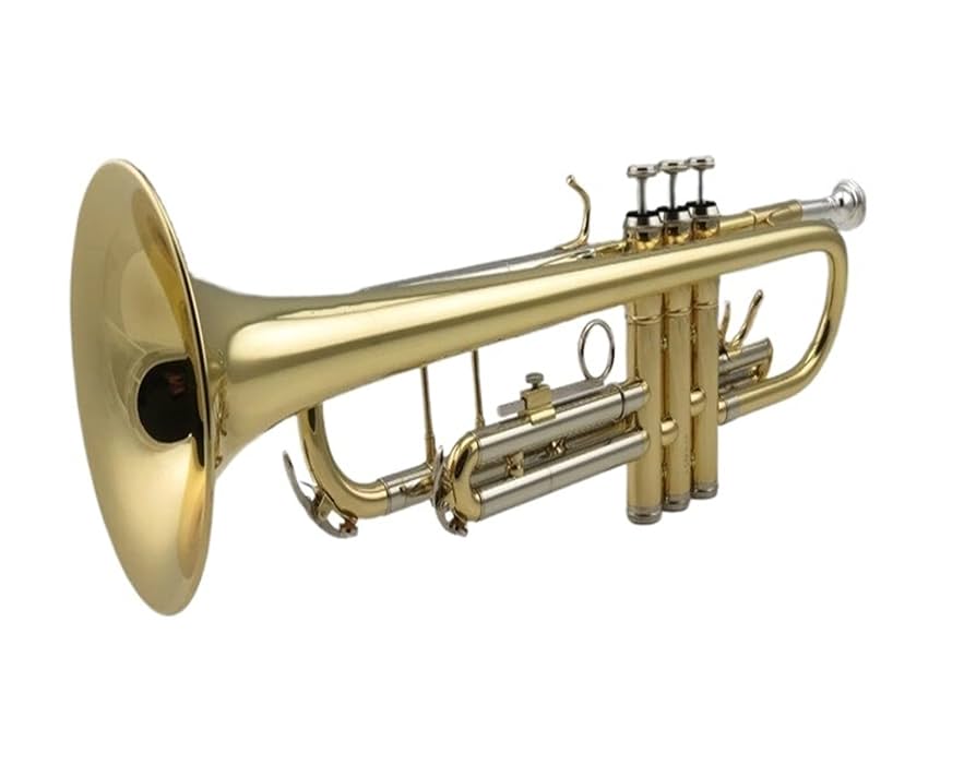 Amazon | トランペット楽器初級検定 B-フラットC-調整可能可変