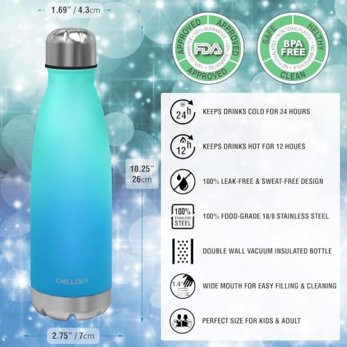 Image of CHILLOUT LIFE 17oz Insulated Stainless Steel Water Bottles, Leak Proof