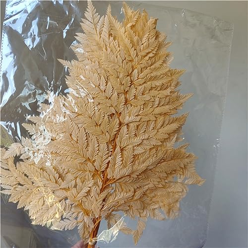 10pcs Flores Secas Naturales para Decoración miniatura 6