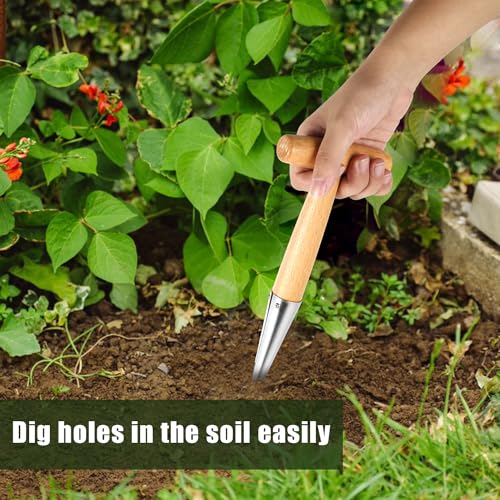 Dibber de mano con mango de madera y cabeza de acero inoxidable miniatura 6