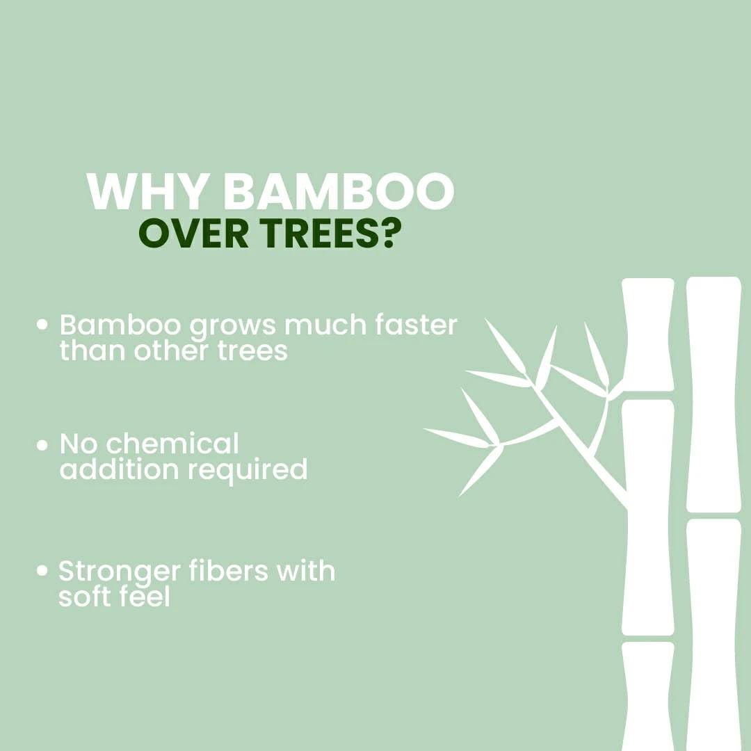 Claret Bamboo Toilet Roll 3-Ply | 300 Pulls | 10 x 10 cm | Ultra Soft Eco-Friendly Tissue | OBA-Free Natural Bamboo Pulp | Gentle & Septic Safe (Pack Of 10) - Image 7 thumbnail