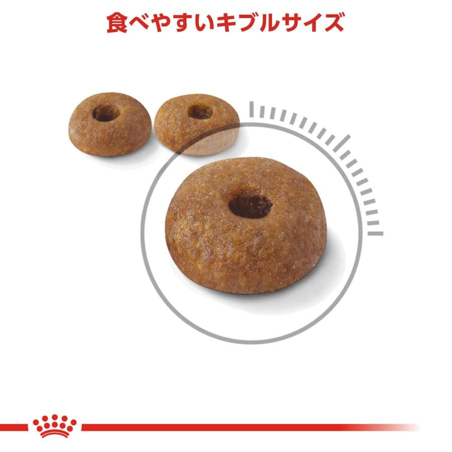 ズラタン2kg✖️2個 ダイジェストケア Amazon | ロイヤルカナンダイジェスティブケア2kg健康なおなか