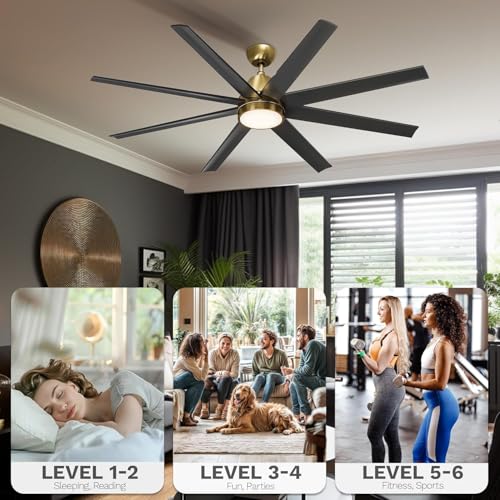 DWVO 65 Inch Ceiling Fans with Light and Remote, 8 Blade Large Ceiling Fan with Quiet Reversible DC Motor, 6-Speed, Dimmable 3 Color Temperatures, Memory Function for Living Room, Dining Room, Bedroom