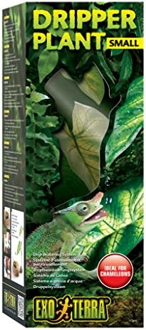 reptile dripper plant