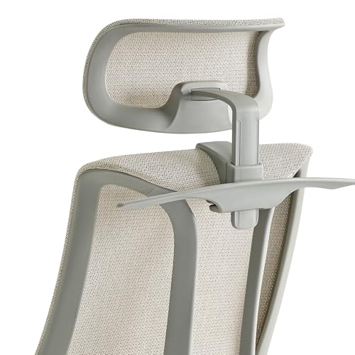 Image of EUREKA ERGONOMIC Lira Office Chair with Headrest, Ergonomic Desk Chair with 3D Armrests, Adjustable Seat Depth, Breathable Mesh Computer Chair with Lumbar Support for Home Office(Grey)