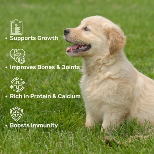 Image of Absolut Pet Lactose Free Milk for Dogs, Ready to Serve High Protein Milk with Calcium & Vitamins | Complete Daily Nutrition with Easy Digestion (120ml, Pack of 4)