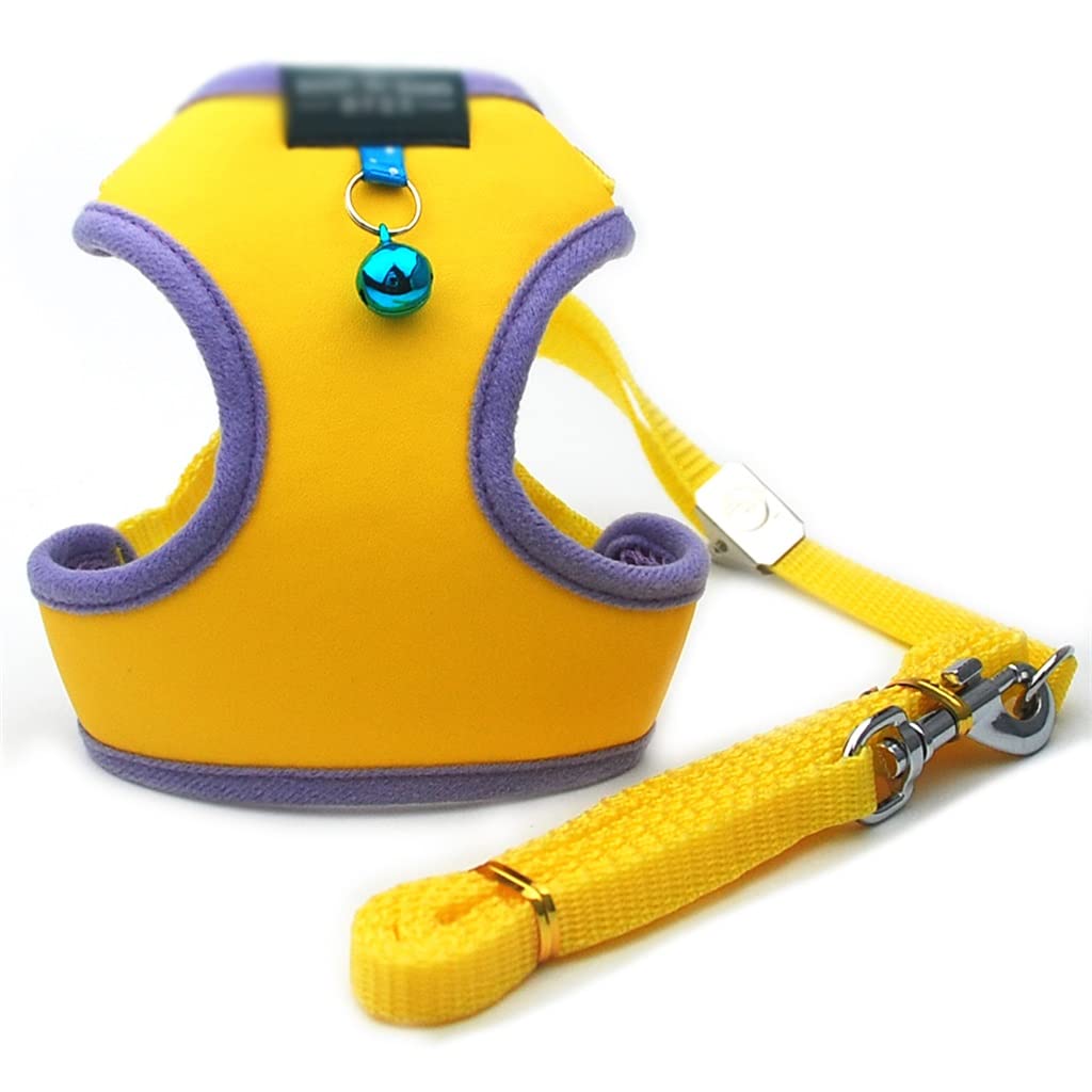 Harnais gilet en maille respirante réglable pour chien et chat avec laisse et clochette