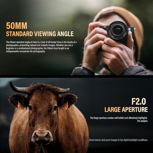 VILTROX 50mm F2.0 for Nikon Camera Lenses AF 50 mm F2 Z-Mount Shot Large Aperture STM Prime Lens for Z5 Z50 Z50II Z6 Z6II Z7 Z7II ZFC Z30 Z9 Z8 ZF Z6III