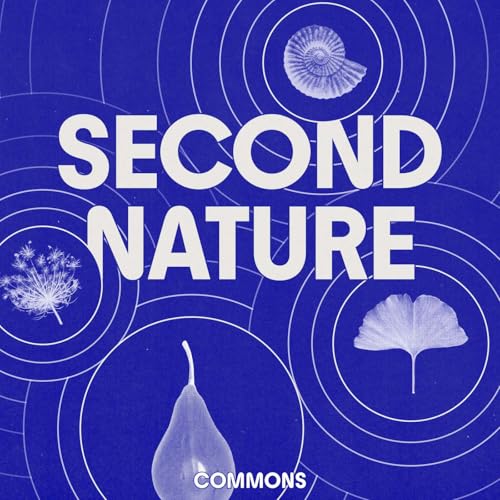 Call for Submissions: Contribute to Season 4!