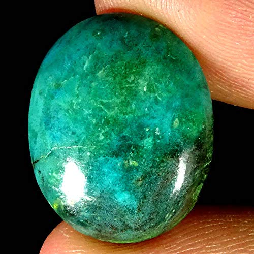GEMSCREATIONS 13.10�J���b�g�f���炵���f�U�C�i�[�i�`�������`�x�b�g�^�[�R�C�Y�I�[�o���L���u�g�b�v���[�X�W�F���X�g�[��