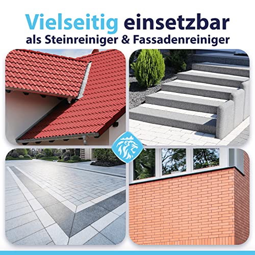 Grünbelagentferner Hygiene King für Stein- und Fassadenreinigung