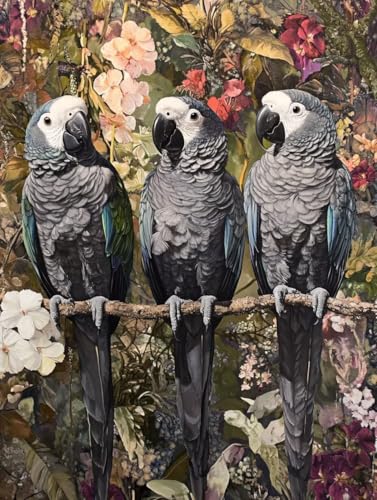 Loisirs créatifs adultes : Kit broderie diamant oiseau multicolore géant