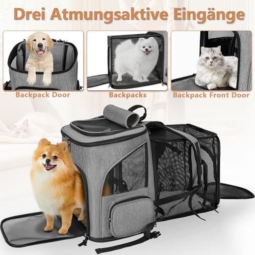 OUUTMEE Haustier-Rucksack für kleine Hunde Hundetragetasche erweiterbares faltbares Netzfenster Geeignet für Kurze Reisen Tragfähigkeit 10 kg Grau