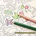 KALOUR Colorless Blender and Burnisher Pencils Set,Non-pigmented, Wax Based Pencil,perfect for Blending Softening Edges,ideal for Colored Pencils,Art Supplies for Artists Beginners(6 Pencils Total)