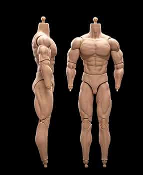 51H-tKZTNgL._AC_UF350,