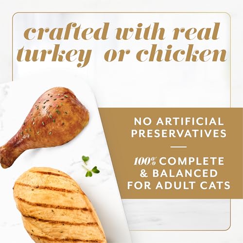 Image of Purina Fancy Feast Gems Pate Mousse with Turkey and with Chicken Wet Cat Food Variety Pack - 4 oz. (Pack of 16)