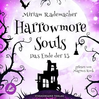Das Ende der 13 cover art