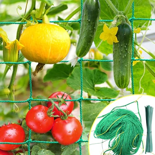 IKSAMY Ranknetz 2x3m mit großer Maschenweite, Gurkennetz, Ranknetz für Gurken - ranknetz für kletterpflanzen, Ideale Rankhilfe für Gurken, Tomaten, Gärten, Gewächshaus zubehör