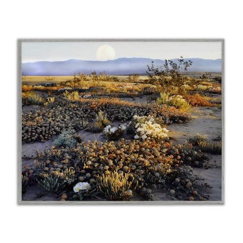 'Mountain View Desert Vegetation'| Framed Giclee Art