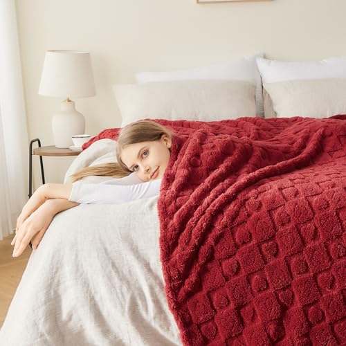 NEWCOSPLAY Super Soft Throw Blanket Red Premium Silky Flannel Fleece 3D Heart Checkered Lightweight Bed Blanket All Season Use (Red Heart, Throw(50"x70"))
