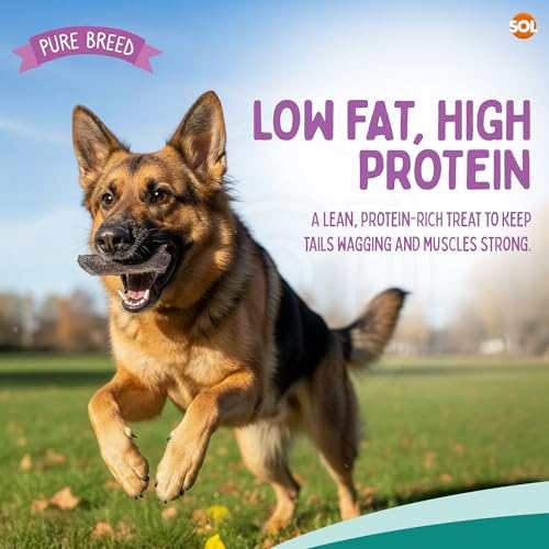Pure Breed 500g Air-Dried Beef Liver for Dogs Treats Natural 10x In Resealable 50g Bags Dog Chews Long-Lasting High Protein Low Fat Rewards Medium to Large Breeds Grain Free, For 8 Weeks Old Puppies - Image 6