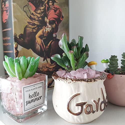 Duqguho Rose Quartz Crystals Chip Bulk Natural Healing Crystal Crushed Stones For Succulent Plant Flowerpot Rocks Vase Filler Terrarium Supplies Pebbles For Planters 0.88 Lbs #TOP2