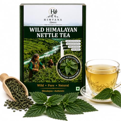 Image of Wild Himalayan Nettle Slimming Tea. Rare Herb Urtica Himalayensis. Visible Whole Leaves Premium Herbal Tea. Rich and Velvety Taste. Rich in Antioxidants, Vitamins & Minerals. Traditionally used for Pain Relief, Detox as well in Himalayan Food Recipes. Grows only in High Altitude in Himalayas (30 Gm, Starter Pack)