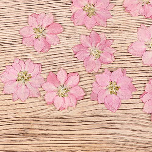KALLORY Flores Prensadas Secas Para Artesanato 20 Peças De Acessórios Para Capa De Telefone Diy Flor