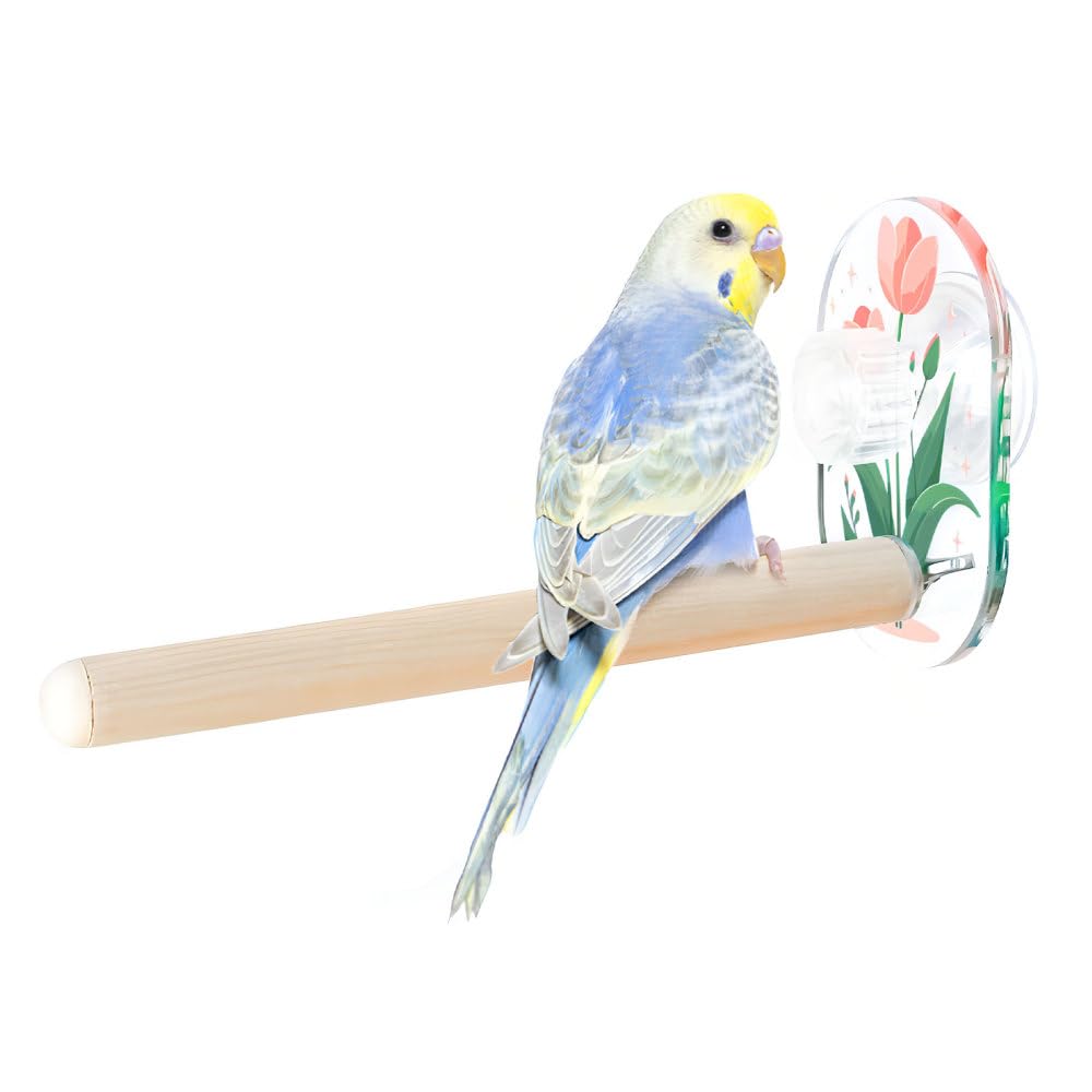 Bird Swing Toys,Suction Cup Bird Wooden Perches for Parakeet Cockatiel, Conure, Budgerigar, Lovebird and Other Birds