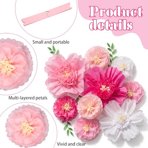 Image of TaoBary Large Colorful Tissue Paper Flowers Giant Fiesta Paper Pom Poms Classroom Wall Decor Mexican Birthday Party Decorations Wedding Backdrop(20 inch and 10 inch,Gradient Pink,12 Pcs)