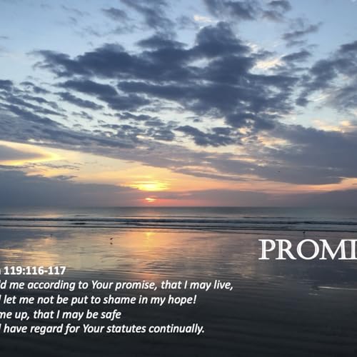 Episode 142: Promise #142 - Promise