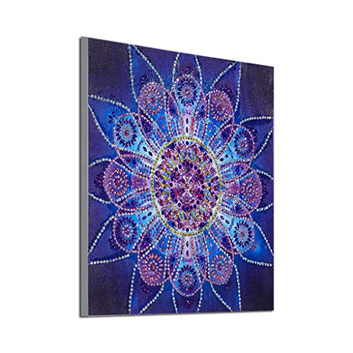 VETPW 5D DIY Mandala Kit de Peinture Diamant, Bricolage Strass Forme Spéciale Diamond Pasted Painting Broderie Point De Croix Diamant Arts Craft pour Home Décoration Murale (30x30CM)