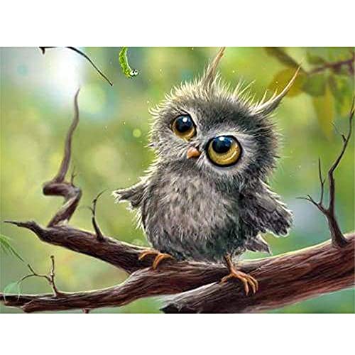 Peinture diamant 5d complet chouette 60x140cm broderie grand format pour salon